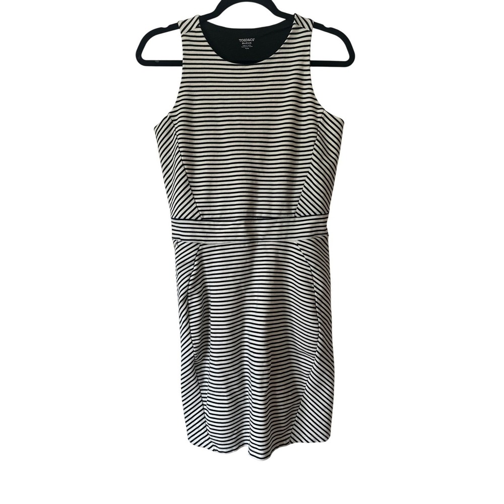 Toad&Co Transita Striped Dress Stretch Knit with Pocket Medium